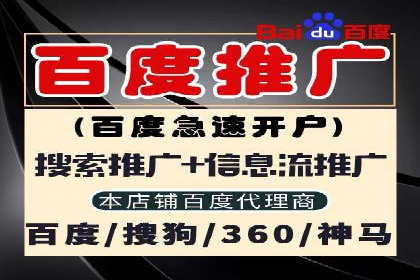 某品牌SEM广告策略揭秘——代运营公司的智慧